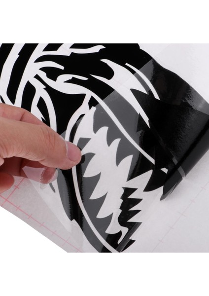 Set 2 Iskelet Balık Kemik Çıkartma Tekne Sörf Tahtası (Yurt Dışından) indirimleri