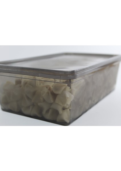Plastik Antrasit 10 Adet 2 Lt Kapaklı Kilitli Dondurucu Gıda Mutfak Saklama Kabı (23X14X8) cm Kahve Yemek Oyuncak,