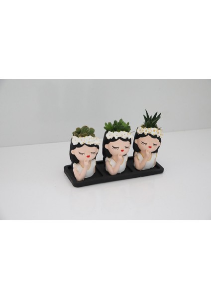 Trio Saksıda Muhteşem Kızlar