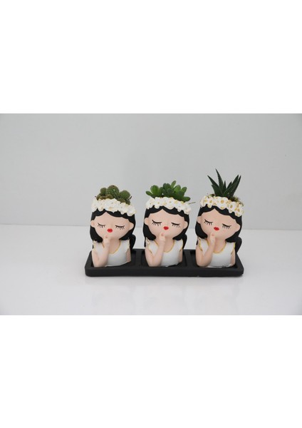 Trio Saksıda Muhteşem Kızlar