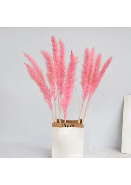 15PCS Kurutulmuş Pampas Çim Phragmites Kamış Çatı Çiçek Aranjman Vazo Gülü Için (Yurt Dışından) fiyatları