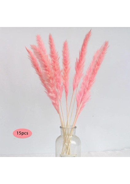 15PCS Kurutulmuş Pampas Çim Phragmites Kamış Çatı Çiçek Aranjman Vazo Gülü Için (Yurt Dışından) modelleri