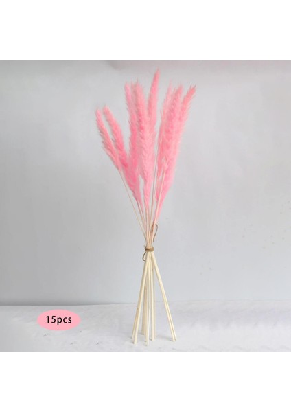 15PCS Kurutulmuş Pampas Çim Phragmites Kamış Çatı Çiçek Aranjman Vazo Gülü Için (Yurt Dışından) fırsatları