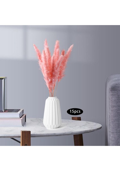 15PCS Kurutulmuş Pampas Çim Phragmites Kamış Çatı Çiçek Aranjman Vazo Gülü Için (Yurt Dışından) indirimleri