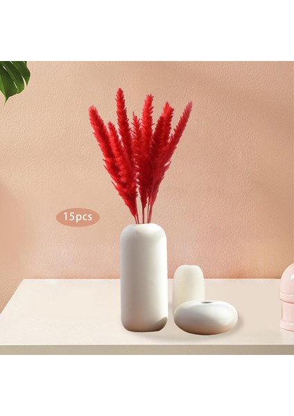 15PCS Kurutulmuş Pampas Çim Phragmites Kamış Vasisi Için Çiçek Aranjman (Yurt Dışından) modelleri