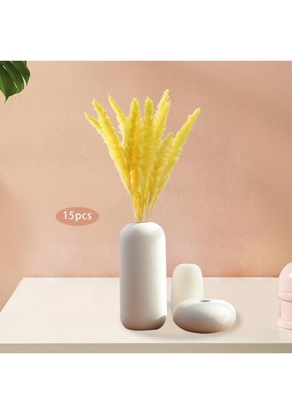 15PCS Kurutulmuş Pampas Çim Phragmites Kamış Çatı Çiçek Aranjman Vazo Jaune Için (Yurt Dışından)