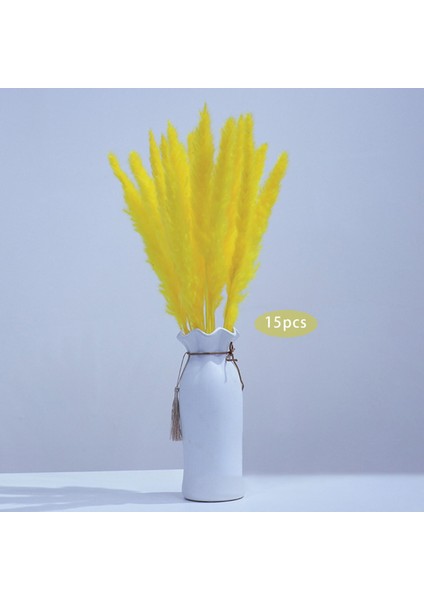 15PCS Kurutulmuş Pampas Çim Phragmites Kamış Çatı Çiçek Aranjman Vazo Jaune Için (Yurt Dışından)