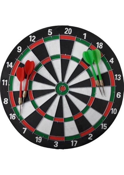Dart Çift Taraflı Dart Seti Iğneli 37 cm