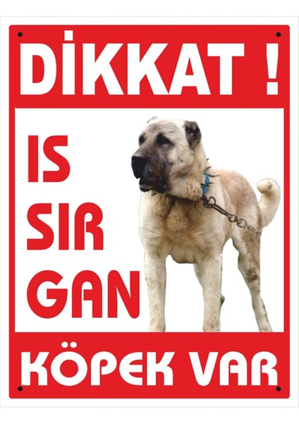 Uyarı ve Yönlendirme Levhaları " Dikkat Köpek Var" 25X35 cm Metal