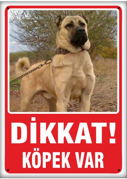 Uyarı ve Yönlendirme Levhaları " Dikkat Köpek VAR"25X35 cm Metal