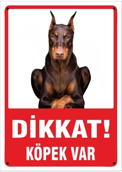Uyarı ve Yönlendirme Levhaları " Dikkat Köpek VAR"25X35 cm Metal