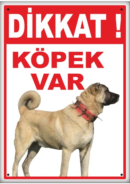 Uyarı ve Yönlendirme Levhaları " Dikkat Köpek VAR"25X35 cm Metal