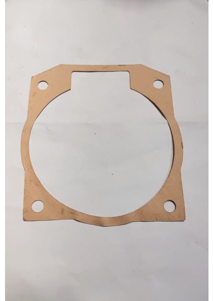 Motor Bağlantı Flanş Contası Bertolını 294
