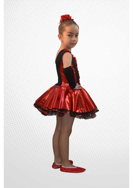 Modern Dans Bale Kostümleri (Parlak Jarse) fiyatları