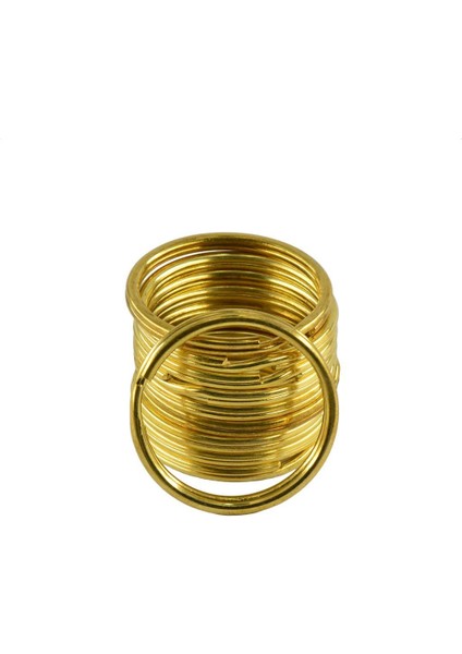 10 Adet Metal Anahtar Zincirleri Bölünmüş Çember (Yurt Dışından) modelleri