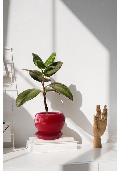 Tabaklı Kırmızı Tombul Çömlek Saksı 22X21 cm