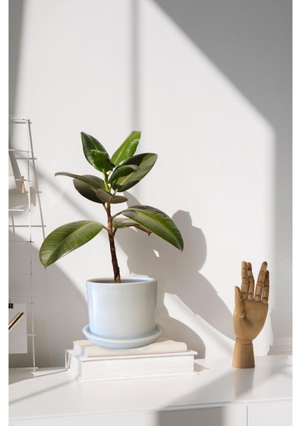 Tabaklı Beyaz Silindir Çömlek Saksı 22x22 Cm