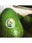 Fky Avocados Avokado (4-7 Adet) (Ortalama 140-250 Gram) 1 kg 1