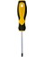Klasik Tornavidalar Yıldız 6x100 mm 1