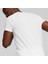 Evostripe Tee 3