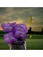10x Golf Demir Headcover, Golf Aksesuarları Tüm Markalar İçin Koruyucu Muhafız (Yurt Dışından) 5