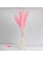 15PCS Kurutulmuş Pampas Çim Phragmites Kamış Çatı Çiçek Aranjman Vazo Gülü Için (Yurt Dışından) 4