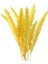 15PCS Kurutulmuş Pampas Çim Phragmites Kamış Çatı Çiçek Aranjman Vazo Jaune Için (Yurt Dışından) 1