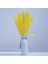 15PCS Kurutulmuş Pampas Çim Phragmites Kamış Çatı Çiçek Aranjman Vazo Jaune Için (Yurt Dışından) 4