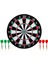 Dart Çift Taraflı Dart Seti Iğneli 37 cm 1