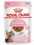 Kitten Sterilised Gravy Kısırlaştırılmış Yavru Kediler Için Yaş Mama 6 Aylıktan 12 Aylığa Kadar 85 gr "12 Adet x 85 g" 1