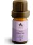 Elemi Uçucu Yağı 5 ml 1