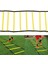 Çevik Hız Eğitimi Merdiveni 8/12/16/20 Ayak Işi Fitness Futbol Egzersizi 9m 16JOINT (Yurt Dışından) 5