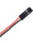 Sanec 2 Pin 0,25MM Kablolu Dupont Kablo 10CM - Çift Taraflı 1