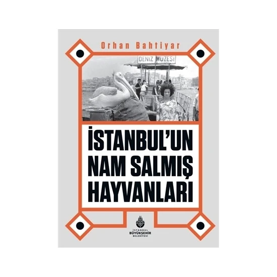Istanbul’un Nam Salmış Hayvanları