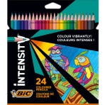 Bic Intensity Color Up Kuru Boya Kalemi 24 RENK / 9641481