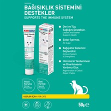 Kiki Excellent Kedi Multi Vitamin Paste Macun 50 Gr. KC301