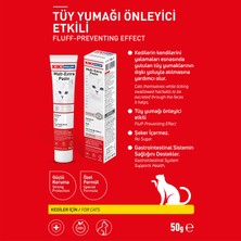 Kıkı Excellent Kedi Malt Extra Paste Macun 50 Gr. KC302