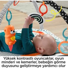 Fisher-Price Fisher Price Neşeli Hayvanlar 3'ü 1 Arada Jimnastik Merkezi Oyun Halısı