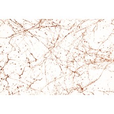 Montana Marble Effect Mermer Efekti Sprey Boya Bronz 400 ml