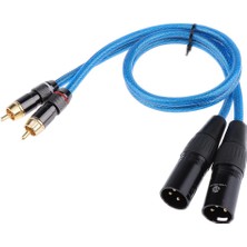 Fugar 2 Xlr Erkek - 2 Rca Rca Erkek Uzatma Kablosu Kablosu Amplifikatör Mikrofon Mikrofonu 50CM (Yurt Dışından)