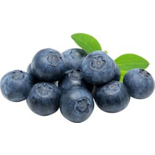 Gülen Yaban Mersini ( Blueberry )