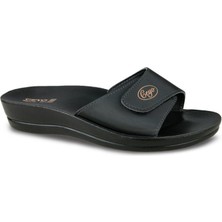 Mınerva-Cırtlı (35-40)