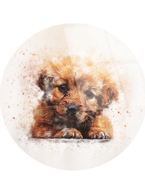Emya Home Sevimli Köpek Cam Tablo