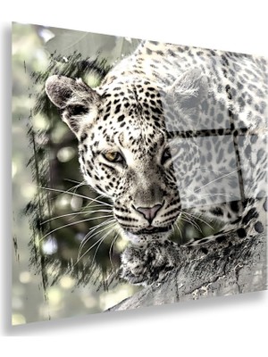 Emya Home Leopar Cam Tablo