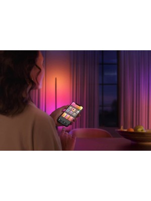 Philips Hue Gradient Signe Zemin Işığı - Siyah