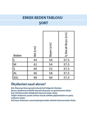 Bad Bear Forager Erkek Gri Kargo Şort