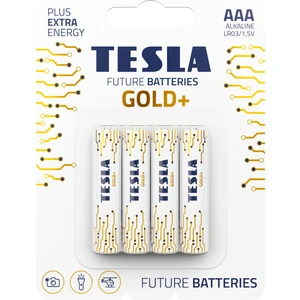 Gold+ Serisi Alkalin AAA Pil 4 lü (İnce Kalem Pil) Geleceğin Pilleri