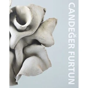 Kişisel Yayınlar Candeğer Furtun