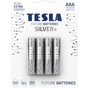 Silver AAA İnce Kalem Pil 1,5V LR03 MN2400-4'lü Paket-Uzun Ömürlü