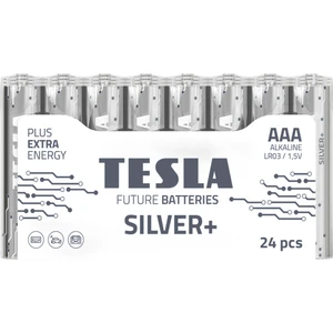 Silver AAA İnce Kalem Pil 1,5V LR03,MN2400 Alkalin-24'lü Paket Uzun Ömürlü